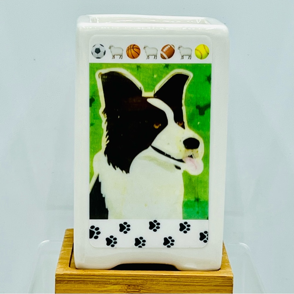 BORDER COLLIE Dog Art 
Hand Crafted Home Decor Planter Office Desktop Organizer